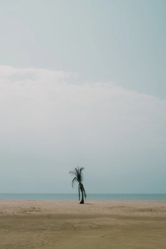 Koh Chang, April 2024 — tropical island in the Gulf of Thailand