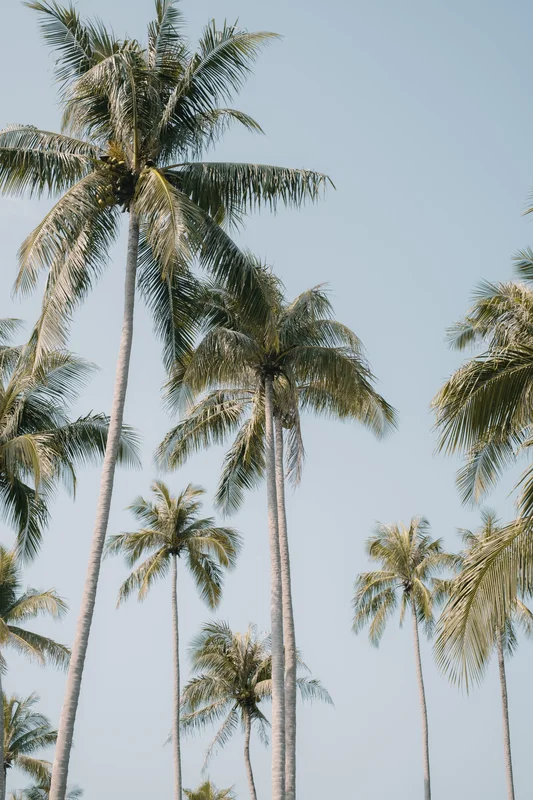 Koh Chang, April 2024 — tropical island in the Gulf of Thailand