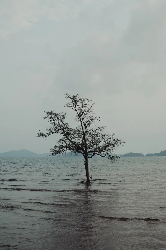 Koh Chang, April 2024 — tropical island in the Gulf of Thailand