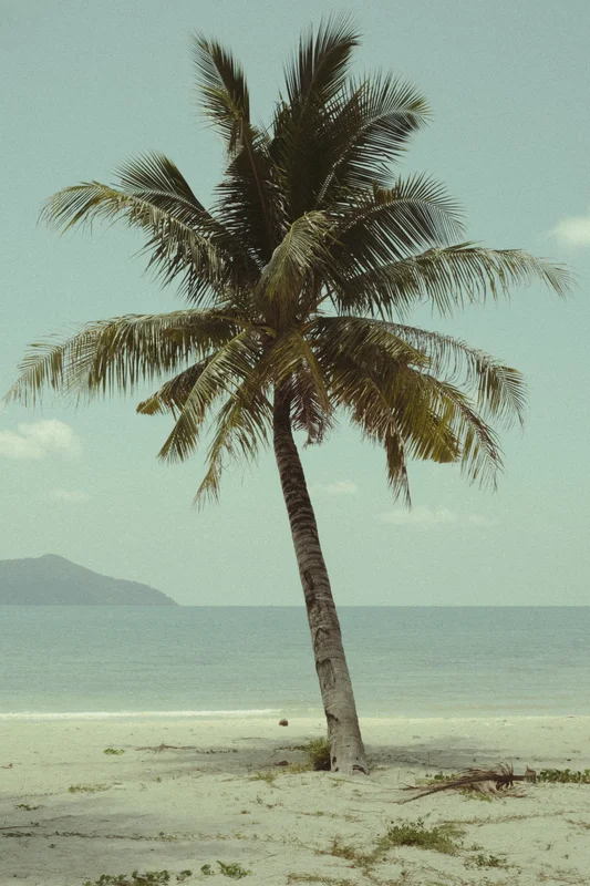 Koh Chang, April 2024 — tropical island in the Gulf of Thailand