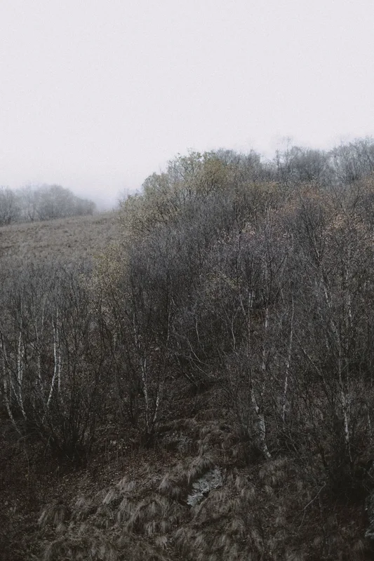 North Ossetia — altitude, silence and the rare strength of space