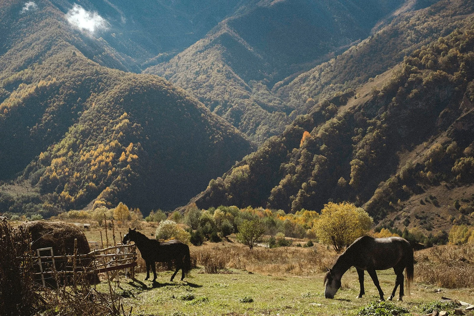 North Ossetia — altitude, silence and the rare strength of space